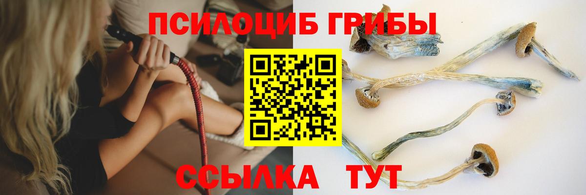 Меф Подольск